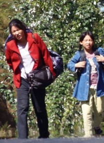 看av免费